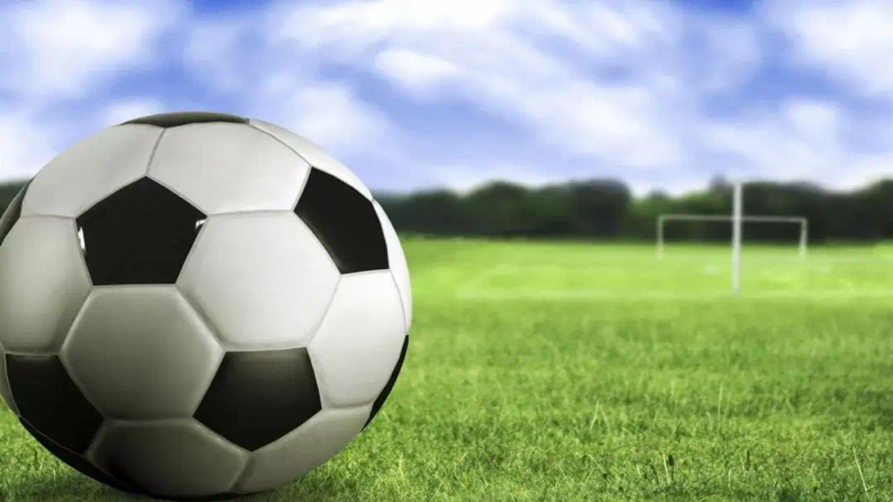 新手学习者使用场景